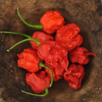 Photo of Carolina Reaper Hot Pepper Seed