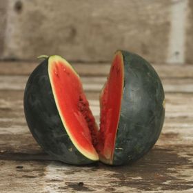 Photo of Blacktail Mountain Watermelon Seed