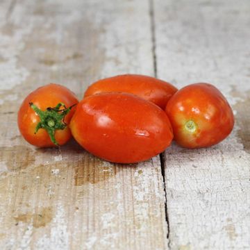 Photo of Amish Paste Tomato Seed