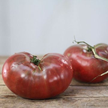 Photo of Cherokee Purple Tomato Seed