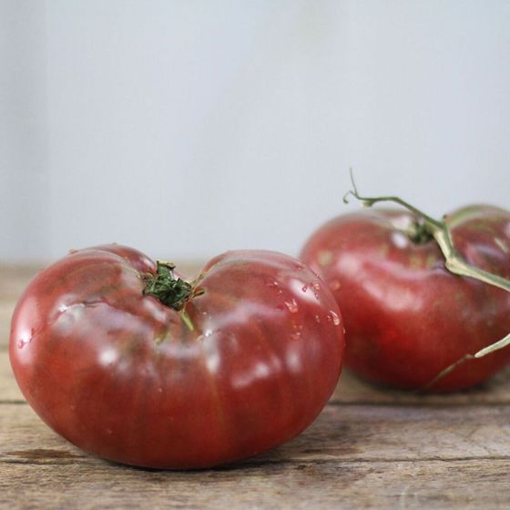 Photo of Cherokee Purple Tomato Seed