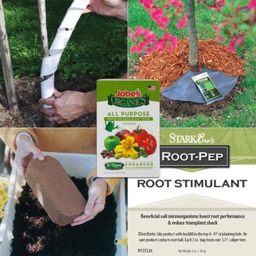 Photo of Organic Tree Success Kit