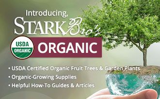 USDA Certified Organic trees, plants, growing supplies & how-to guides.