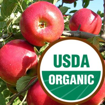 USDA Organic Badge with apple tree in the background