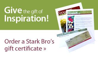 Gift the gift of inspiration! Order a Stark Bro's gift certificate.