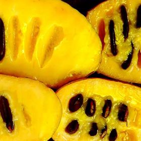 Photo of sliced pawpaw fruit.