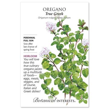 True Greek Oregano Seed