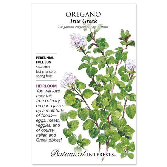 True Greek Oregano Seed