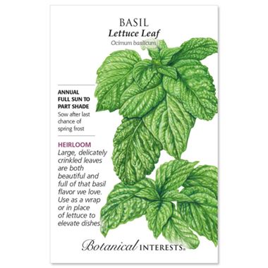 Italian Large Leaf Basil Seed