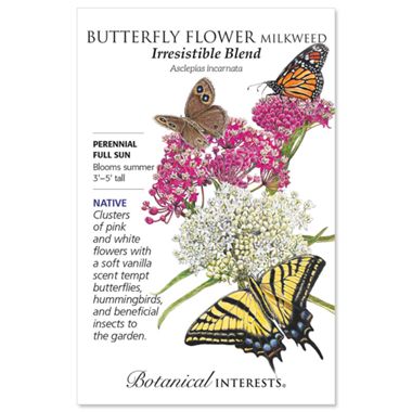 Irresistible Blend Milkweed Butterfly Flower Seed