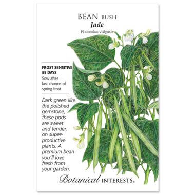 Jade Bush Bean Seed