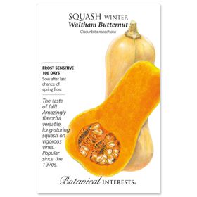 Waltham Butternut Winter Squash Seed