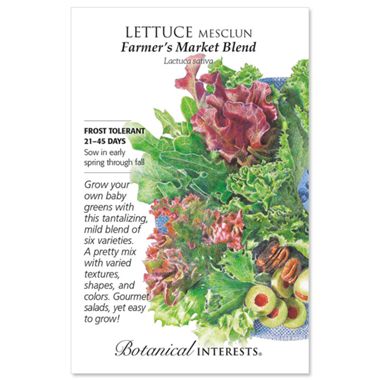 Farmer's Market Blend Mesclun Lettuce Seed