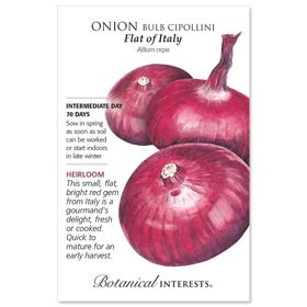 Flat of Italy Bulb Cipollini Onion Seed