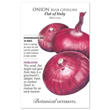 Flat of Italy Bulb Cipollini Onion Seed