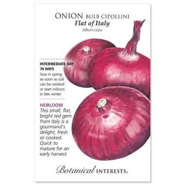 Flat of Italy Bulb Cipollini Onion Seed