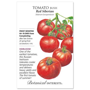 Red Siberian Bush Tomato Seed