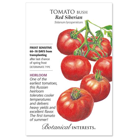 Red Siberian Bush Tomato Seed