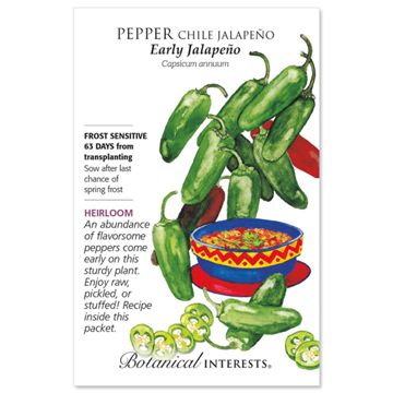 Early Jalapeno Chile Pepper Seed