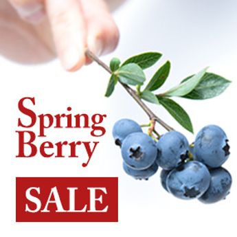"Spring Berry Sale"
