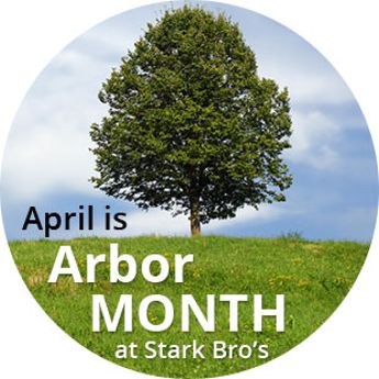 "April is Arbor Month"