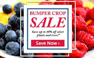 Save up to 40% on select plants and trees!