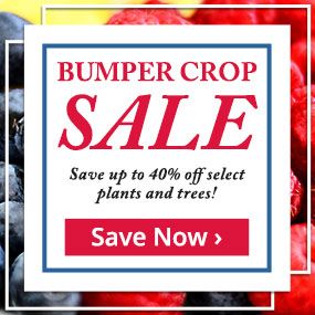 Save up to 40% on select plants and trees!