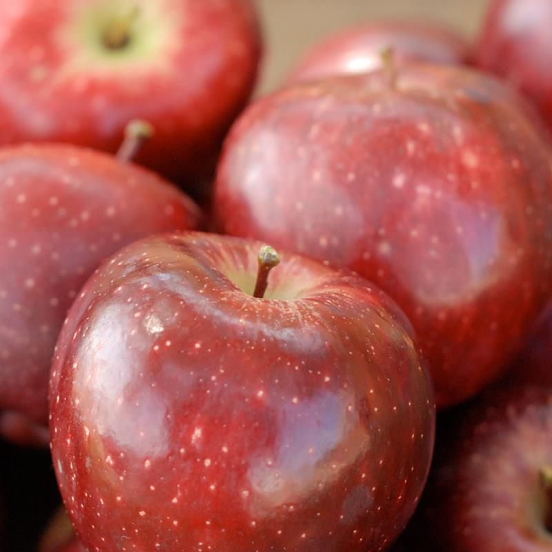 Fresh Red Delicious Apple, Each