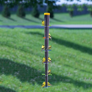 Tornado Rainbow Finch Feeder