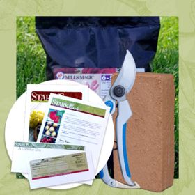Rose Plant Success Kit Gift Certificate Collection