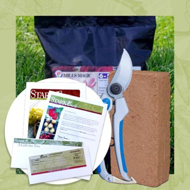 Rose Plant Success Kit Gift Certificate Collection