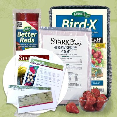 Strawberry Plant Success Kit Gift Certificate Collection