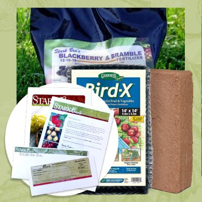Blackberry Plant Success Kit Gift Certificate Collection