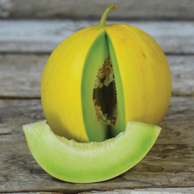 Golden Honeymoon Melon Seed