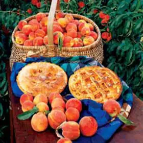 Photo of Cold-Hardy Peach Tree Collection