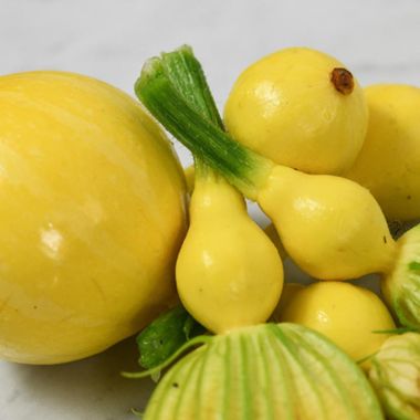 Lemon Summer Squash Seed
