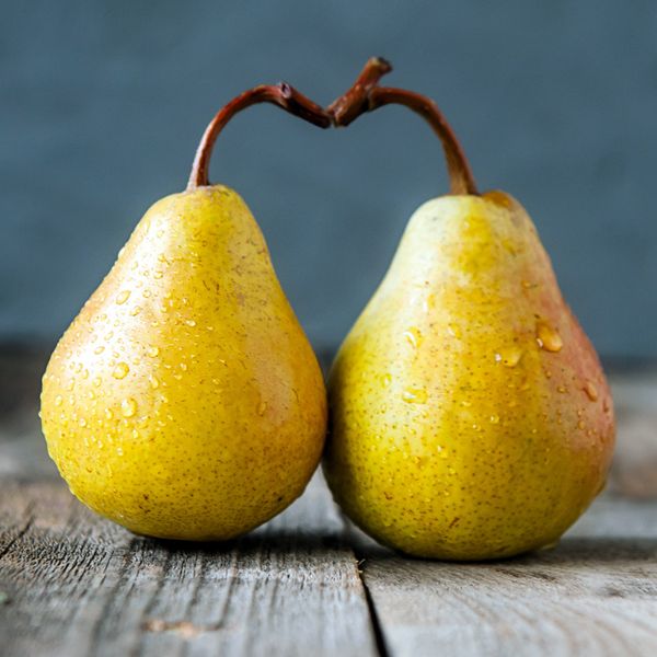 Duo of Pears
