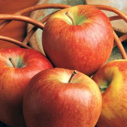 Braeburn Apples