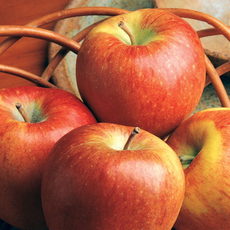 Nature's Promise Organic Apples Braeburn