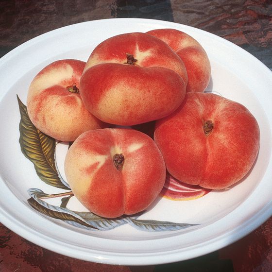 Stark® Saturn Peaches on a plate