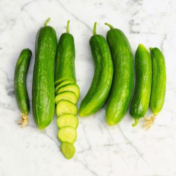 Cucumber Seeds