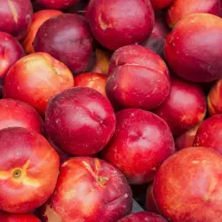 Snow Queen Nectarines