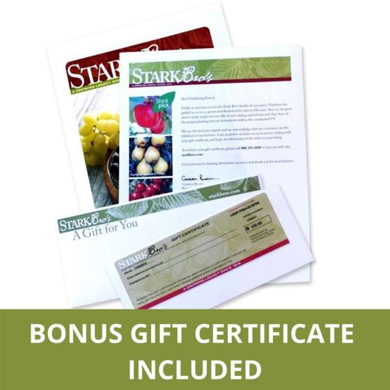 "Bonus Gift Certificates Included"