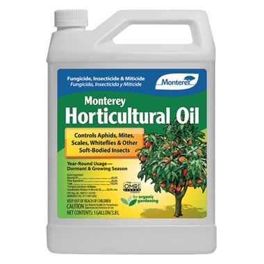 Monterey Horticultural Oil Gallon