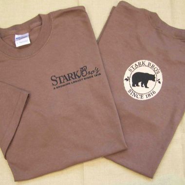 Photo of Bear Logo Short Sleeve Branded Tee