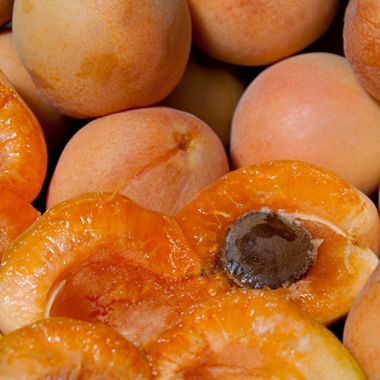 Blenheim Apricots