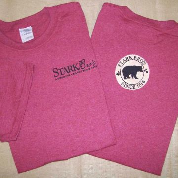 Photo of Bear Logo Short Sleeve Branded Tee