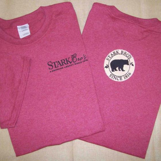 Photo of Bear Logo Short Sleeve Branded Tee