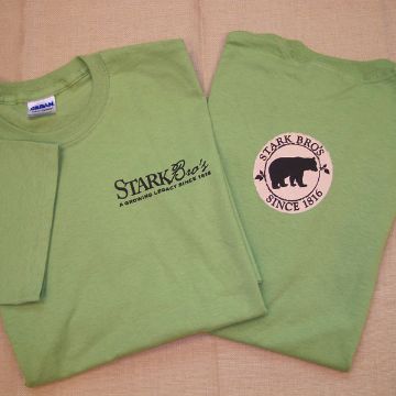 Photo of Bear Logo Short Sleeve Branded Tee