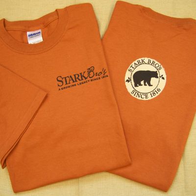Photo of Bear Logo Short Sleeve Branded Tee